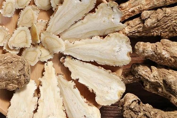 盆栽山茶花多久换一次土 盆栽山茶花何时需要更换土