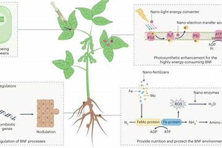 扬州展鹏肥业有限公司是做什么的