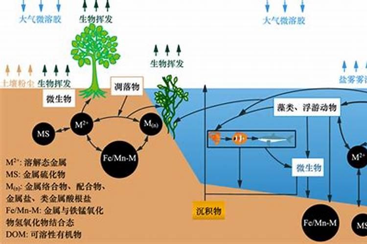 春雷王铜不能混用的药