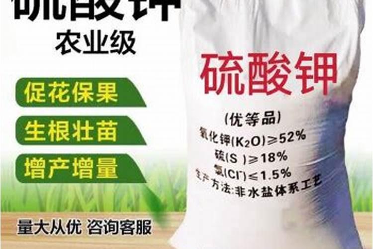中国钾肥什么品牌好
