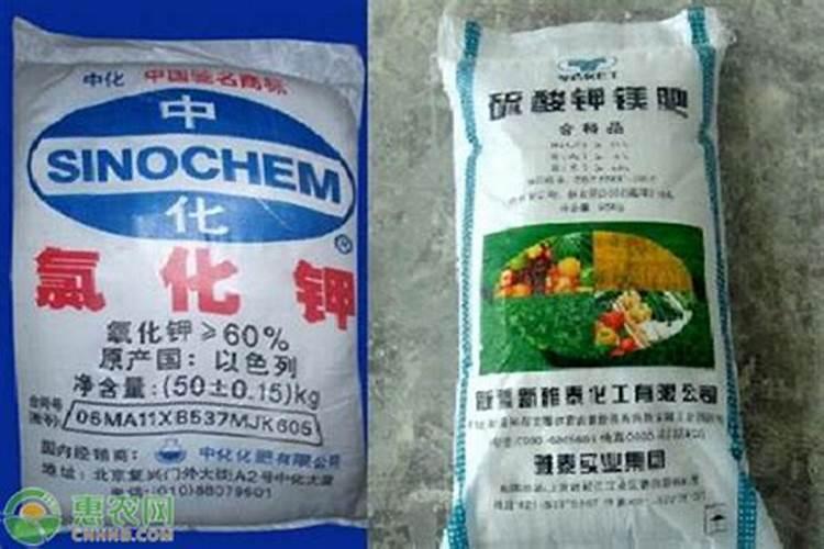 钾肥是属于碱性肥料吗？