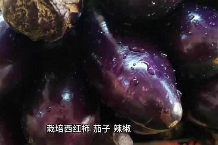 硝酸磷肥和尿素哪个好