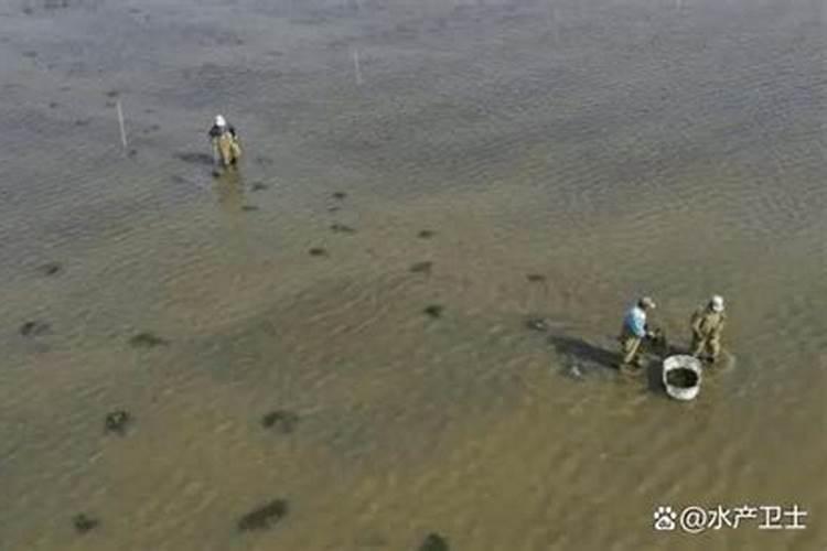 水溶肥一般几天见效