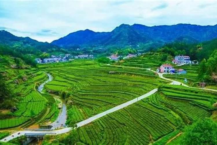 露天西瓜种植技术与管理方法