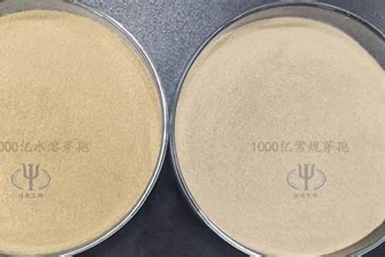 荔枝的合理施肥方法