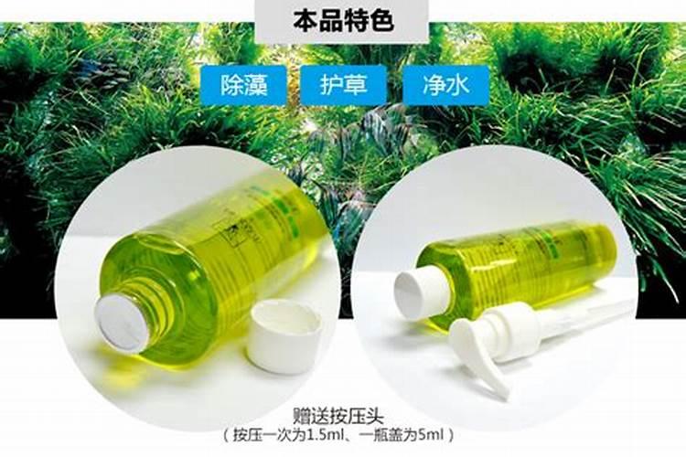 本色水景:19种常见藻类照片和解决方法