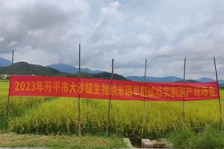 家中花盆种西红柿如何施肥