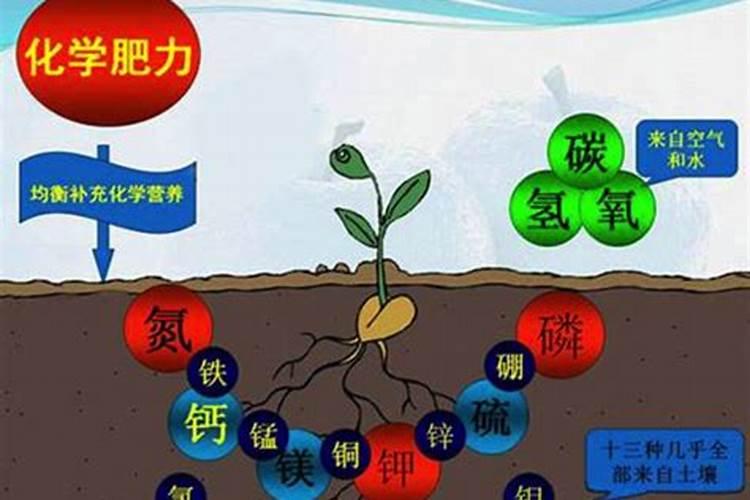 微量元素水溶肥多久用一次 微量元素水溶肥料的适用作物和使用方法