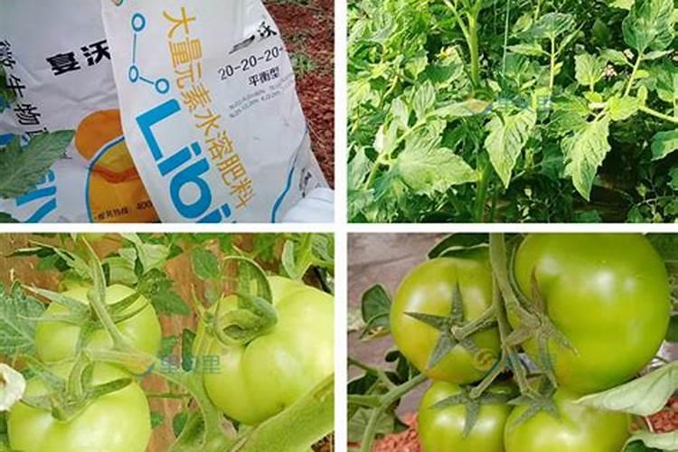 水稻硅锌肥什么时候用 使用注意事项