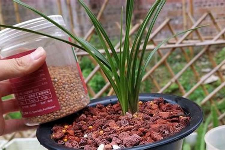 固氮植物能固氮的原理