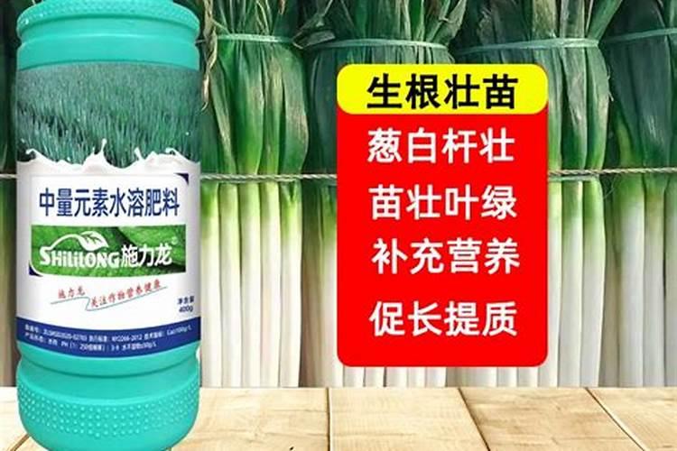 种植大葱需要注意什么问题？