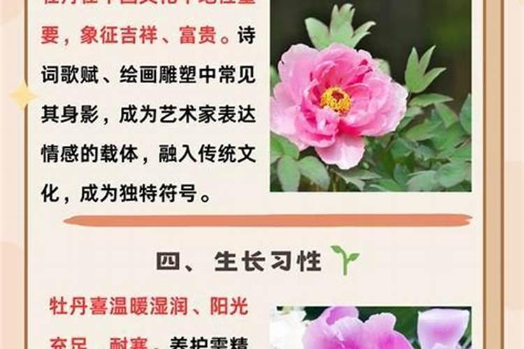 花生拌种剂哪种药最好