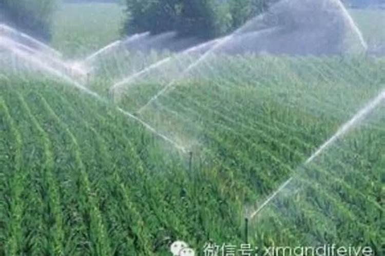 果树催芽促果该怎么施肥最好