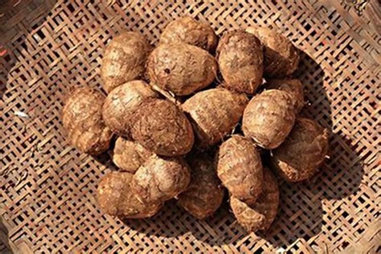 香菜用什么土方法施肥最好