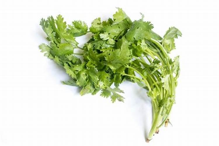 点豆腐用什么原料对身体好