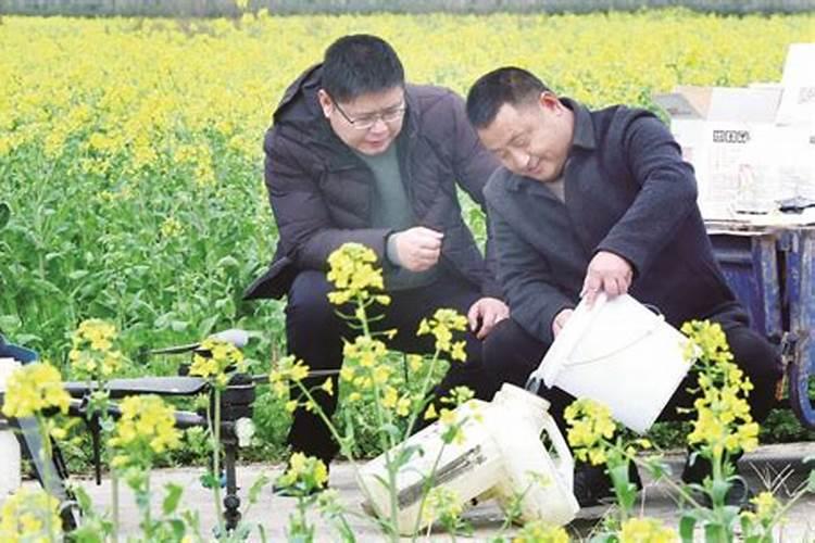 如何提高氮肥磷肥钾肥的利用率