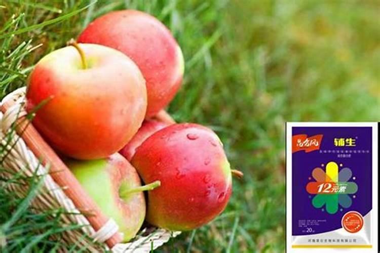 干地能给玉米追肥吗