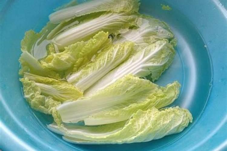 黑麦草在010度的情况下几天能发芽