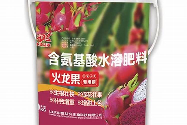 火龙果盆栽种植方法