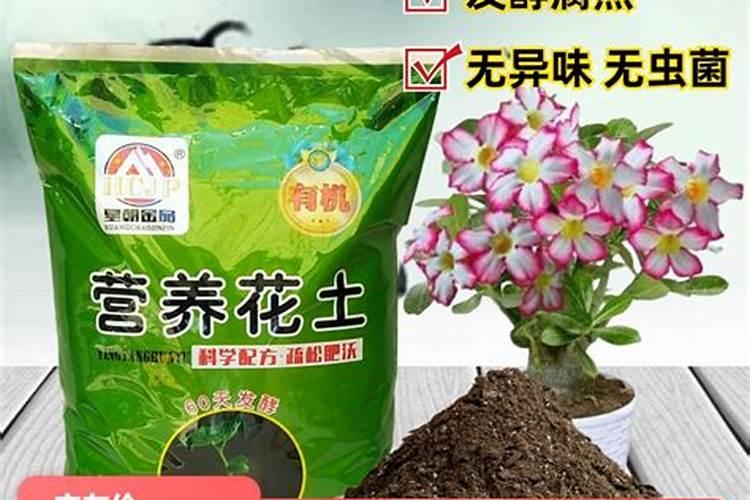 钾肥怎么施效果好