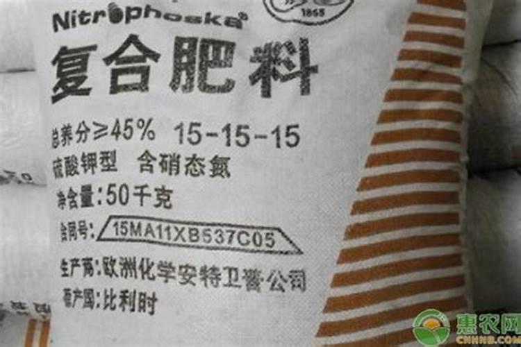 柚子施什么肥最甜
