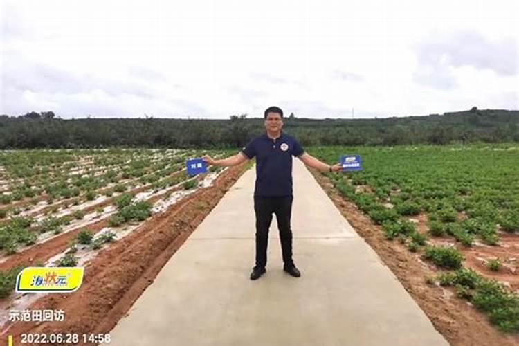 中农大化钾肥速溶的40公斤的卖多少钱一袋子