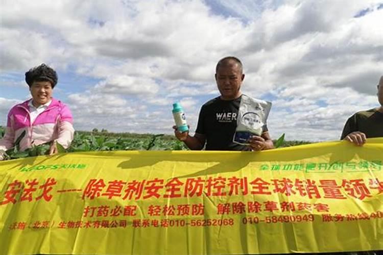 种植谷子最适宜的播种时间在什么时候