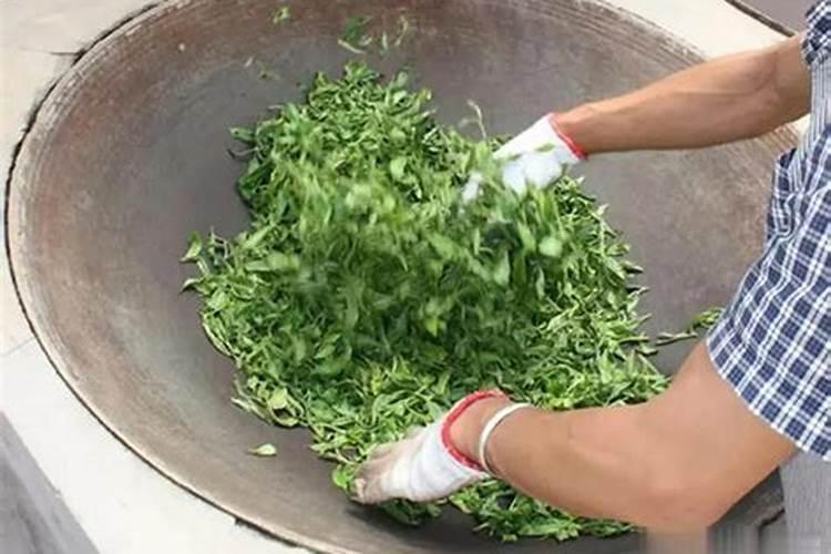 湖北万登肥业科技有限公司怎么样？