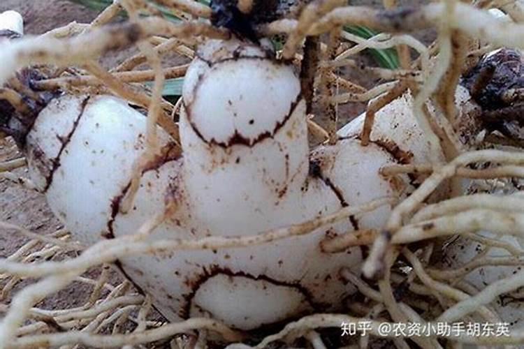 为什么新疆发不了快递？