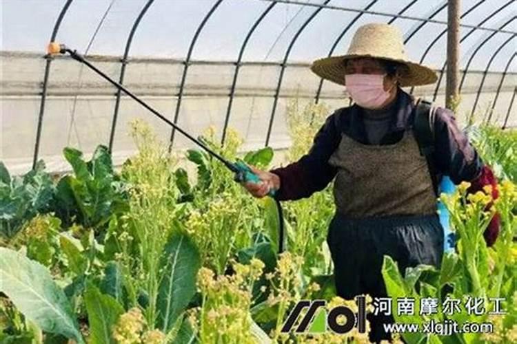 磷肥对人体有多大危害