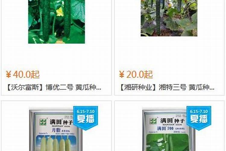 黄瓜喷施钙镁肥最佳时间