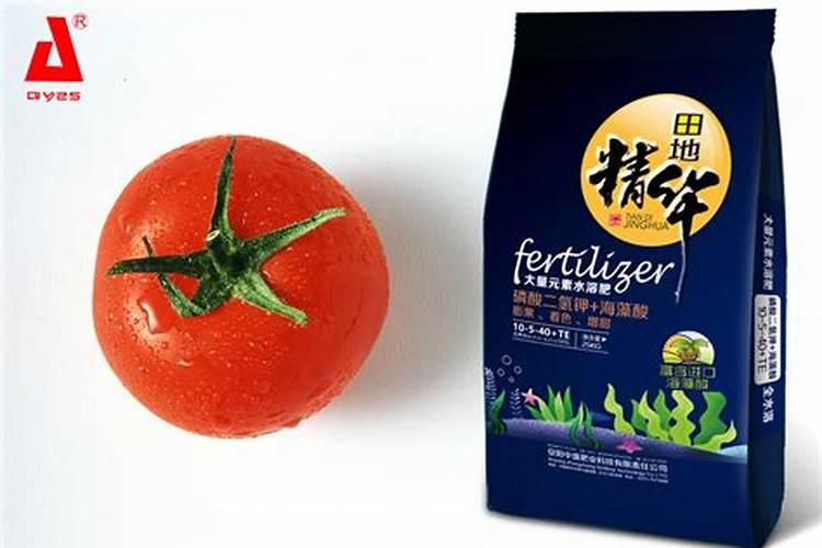 番茄如何施肥何时施肥 才不会给农户造成损失？