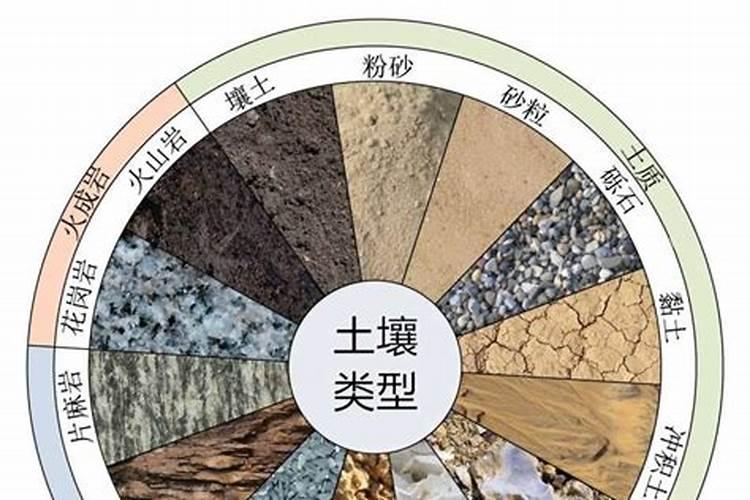 草莓在种植过程中需要补钙吗 草莓缺钙怎么办用什么补钙最好