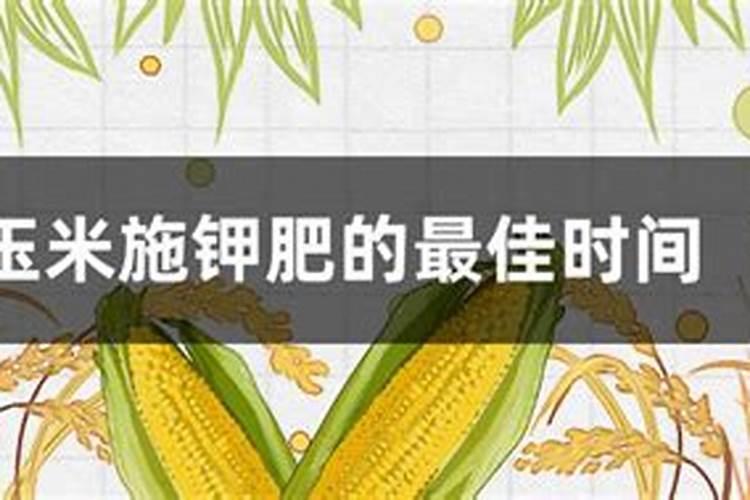 芒果施什么肥