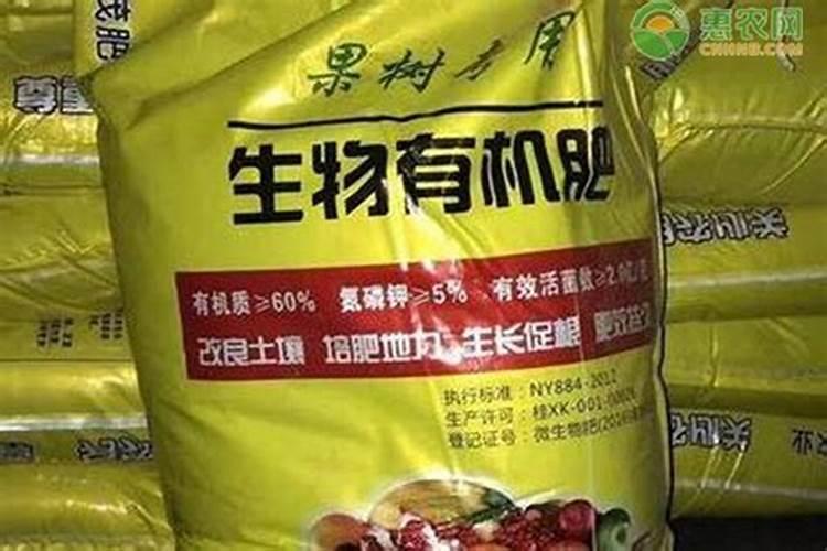 芒果高产种植的管理技巧