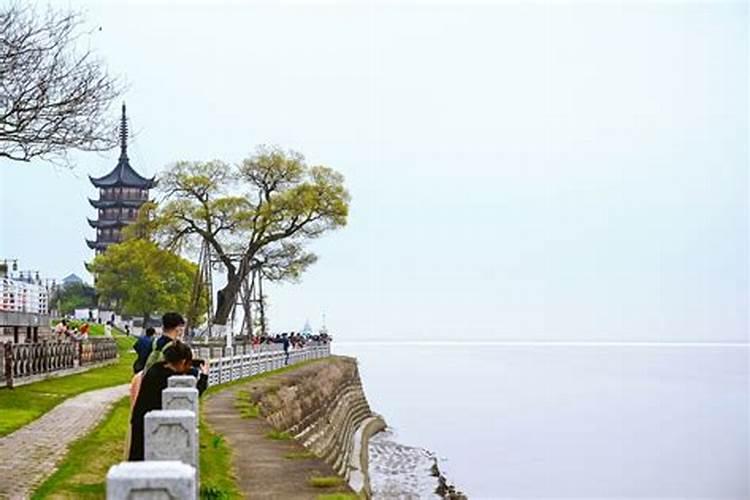 聊城阿土美农业科技有限公司怎么样？