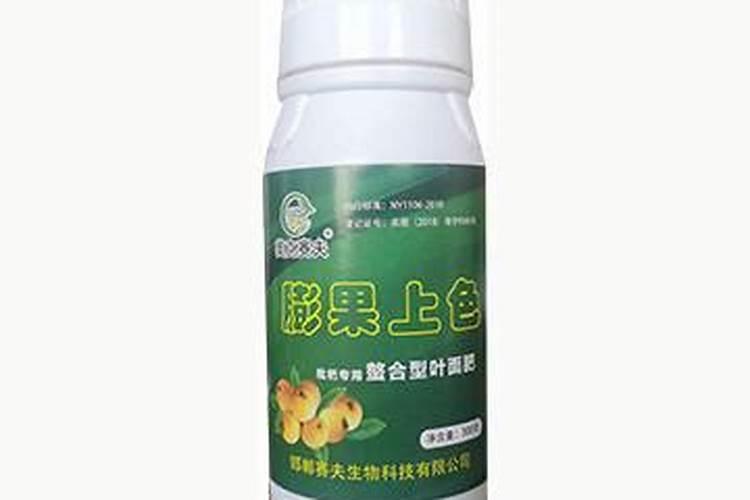 盆栽向日葵的养殖方法和注意事项