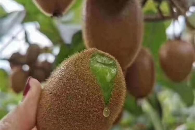 霍州煤电集团公司规模