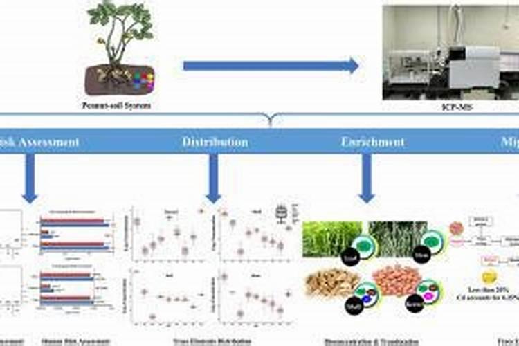 种菜怎么用尿素化水吗