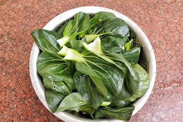 丝瓜要打叉打尖吗