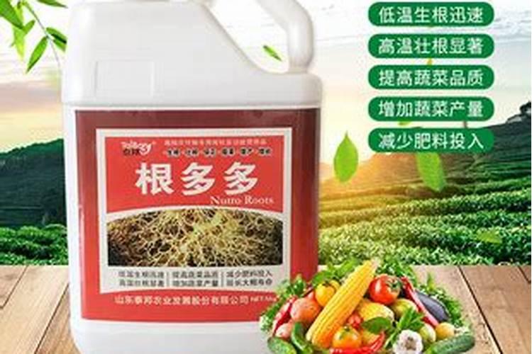 水培植物如何增氧