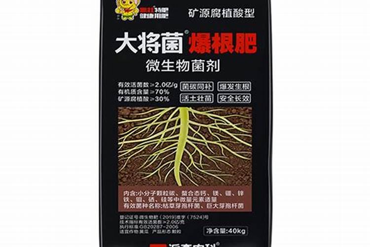 黄瓜生长盛期都需要哪些肥料？该如何使用？