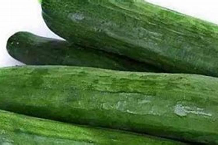 扒一扒:最近老提的益生菌到底是个啥玩意儿？