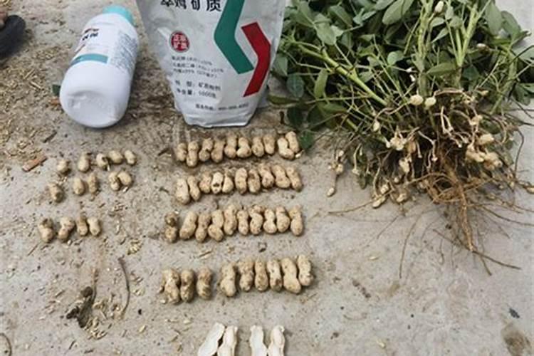 一般我们所了解的花生吸氮规律是怎样的？