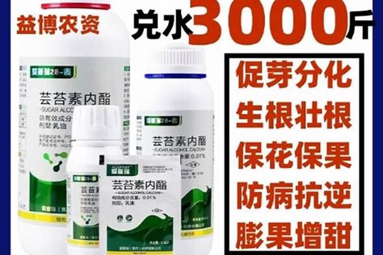 辣椒移栽时有些萎蔫,有什么办法可以使其快速缓苗？