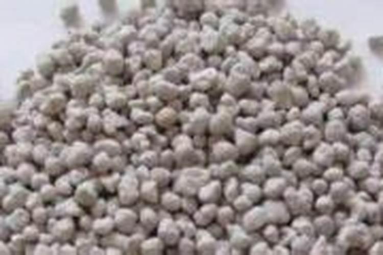 惠州有什么热闹的花鸟鱼虫市场推荐？