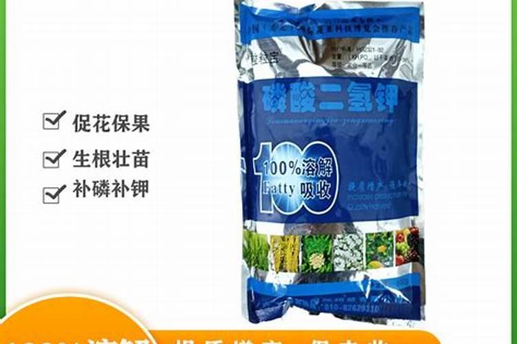 惠州的植物园有哪些？