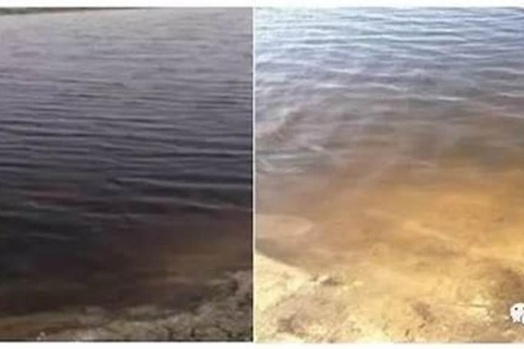 惠州的植物园有哪些？