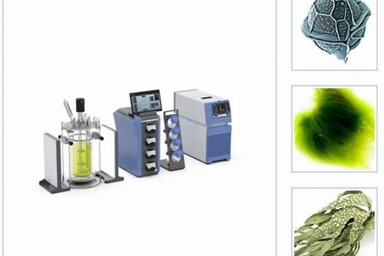 磷肥和钾肥混着用好吗