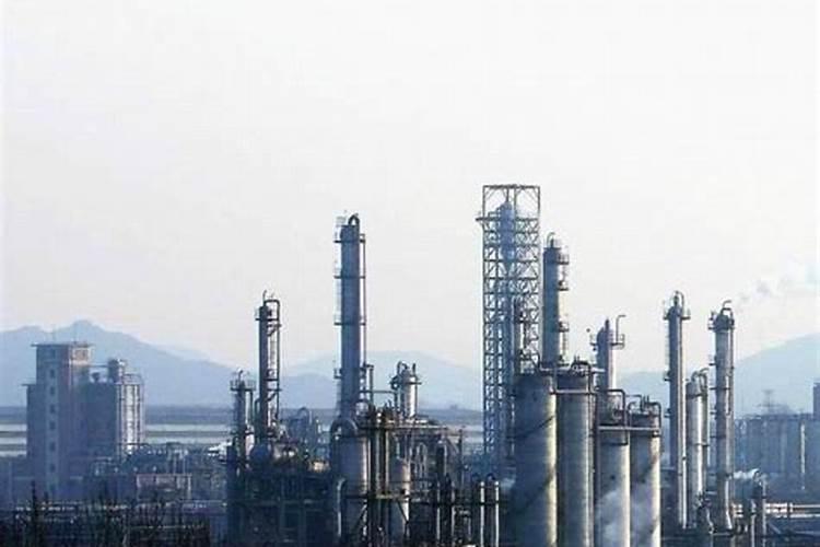 橘子是在什么地方开的？